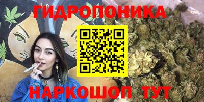 дживик Гатчина