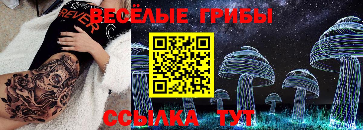 Псилоцибиновые грибы Psilocybe  Вход с VPN  Галлюциногенные грибы Magic Shrooms  Новозыбков 