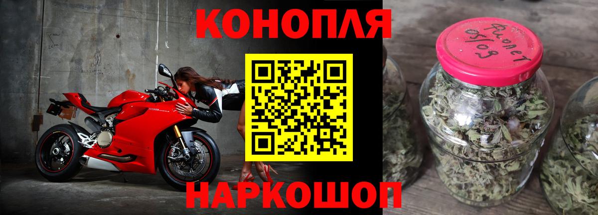 Новозыбков  Шишки марихуана индика  Вход с VPN  Конопля THC 21%  Шишки марихуана гибрид  Канабис THC 21% 