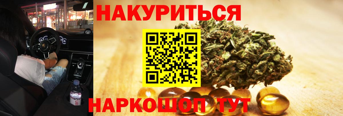 Канабис гибрид Новозыбков